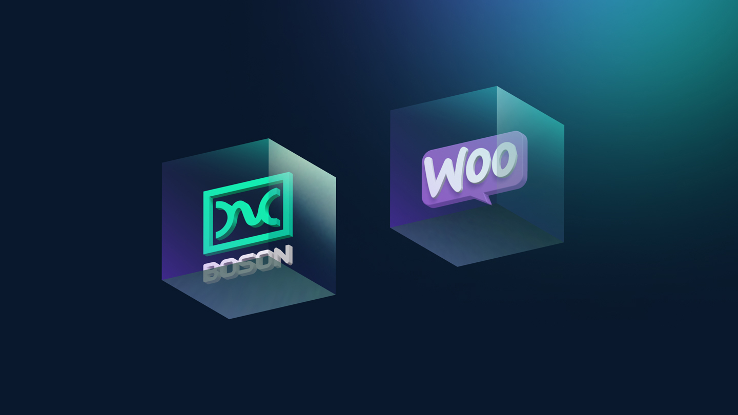 Boson Portfolio
